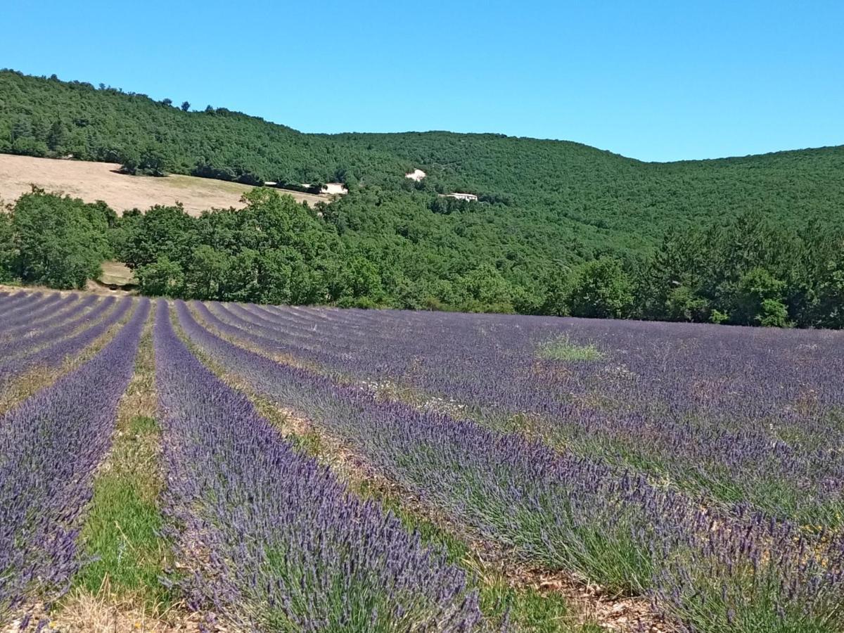 Gite Avec Piscine "La Maison De Valentine" En Provence Montsalier Luaran gambar